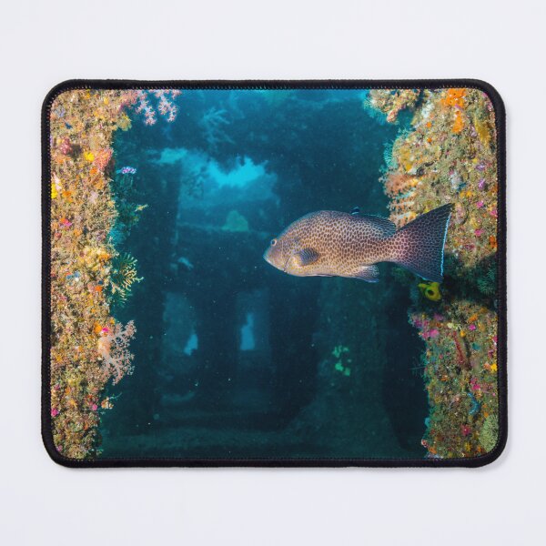 Item preview,  grouper swimming through inside of the fish reef designed and sold by tank200bar.