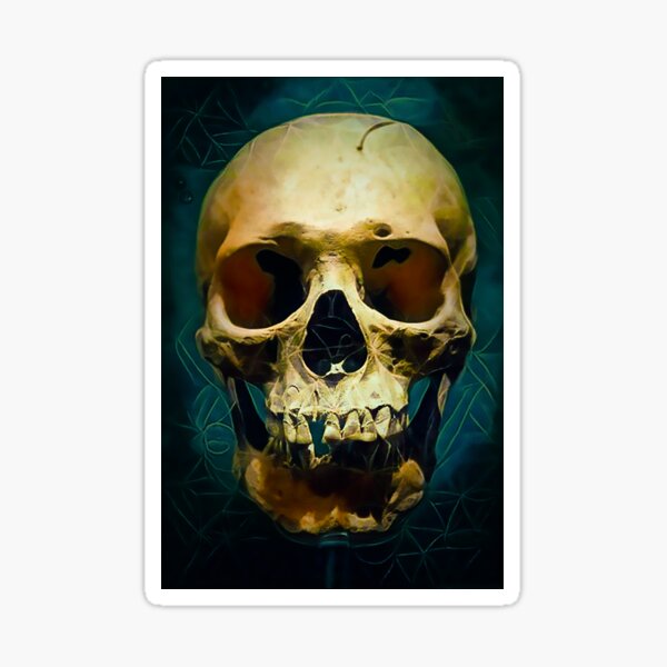 Item preview, skull designed and sold by Donkey's Salad.