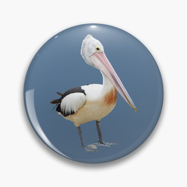 Item preview, Australian Pelican designed and sold by STHogan2.
