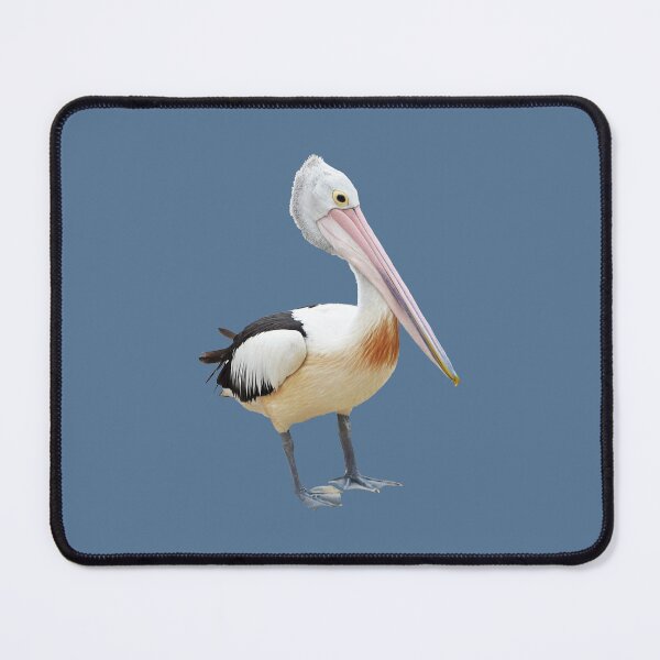 Item preview, Australian Pelican designed and sold by STHogan2.