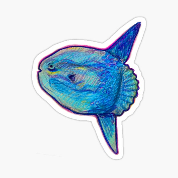 Vista previa del artículo con la obra «Mola Mola», diseñado y vendido por Actinops.