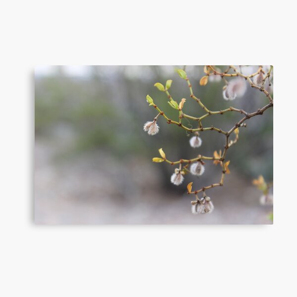 Item preview, Spring Buds designed and sold by frespirit.