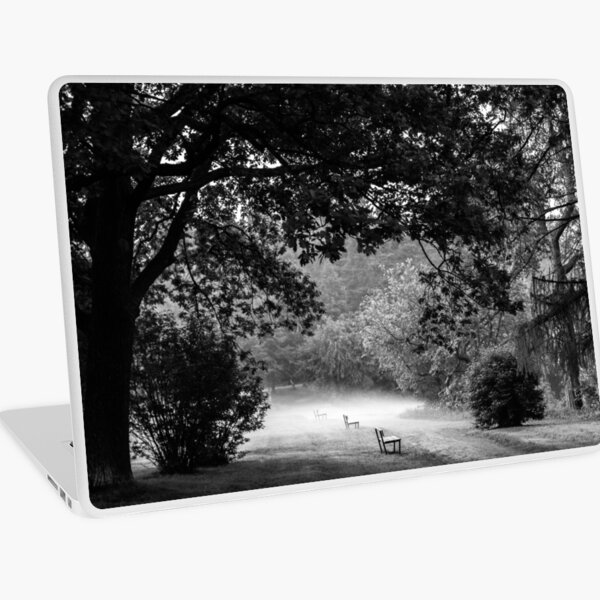 TRIPLETS [Laptop skins] Laptop Skin