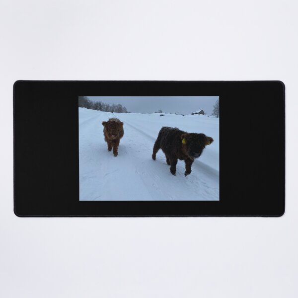 Item preview, Scottish Highland Cattle Calves 4311 designed and sold by SaarelaHighland.