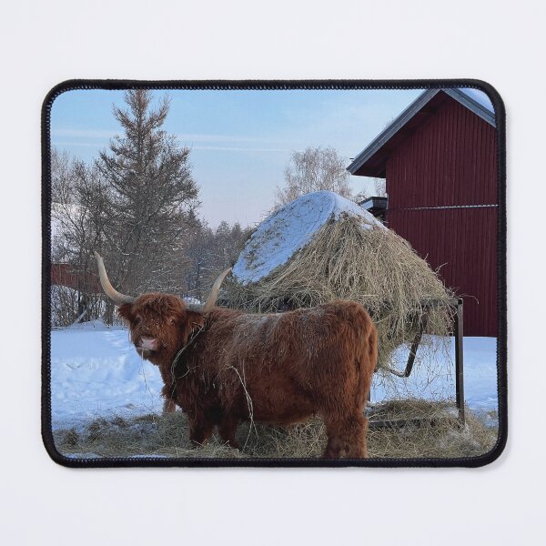 Item preview, Scottish Highland Cattle Cow 4313 designed and sold by SaarelaHighland.