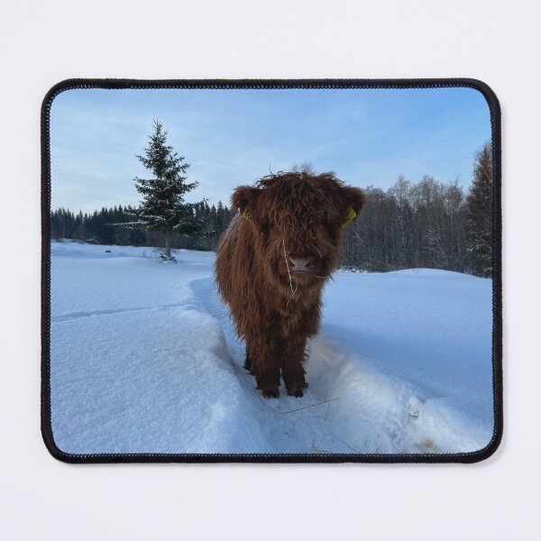 Item preview, Scottish Highland Cattle Calf 4314 designed and sold by SaarelaHighland.