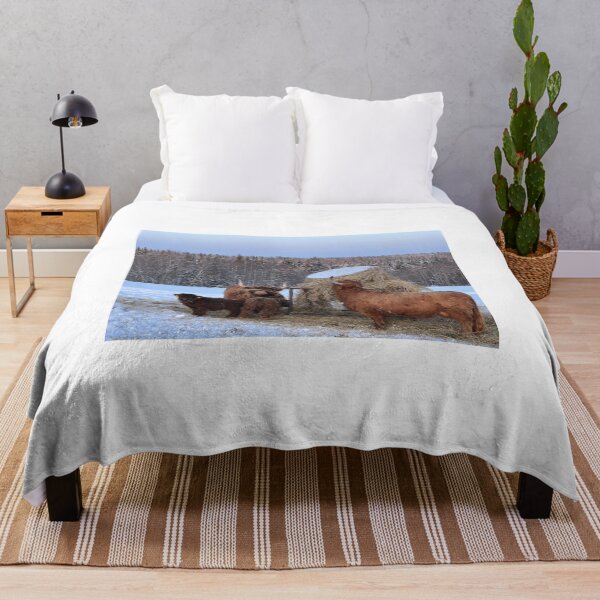 Item preview, Scottish Highland Cattle Cows 4316 designed and sold by SaarelaHighland.