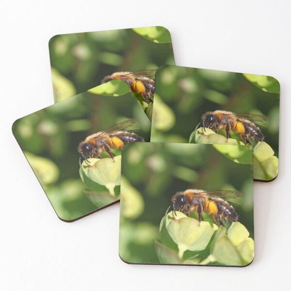 Item preview, Mining bee on euphorbia designed and sold by GreyFeatherPhot.