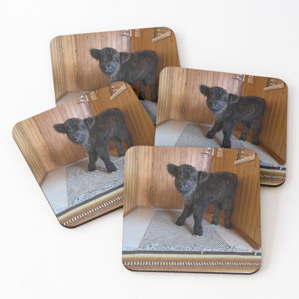 Item preview, Scottish Highland Cattle Calf indoors 4321 designed and sold by SaarelaHighland.