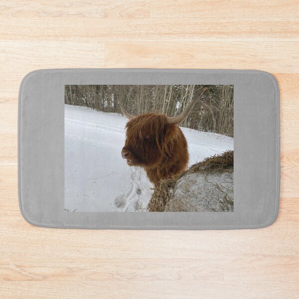 Item preview, Scottish Highland Cattle Cow 4322 designed and sold by SaarelaHighland.