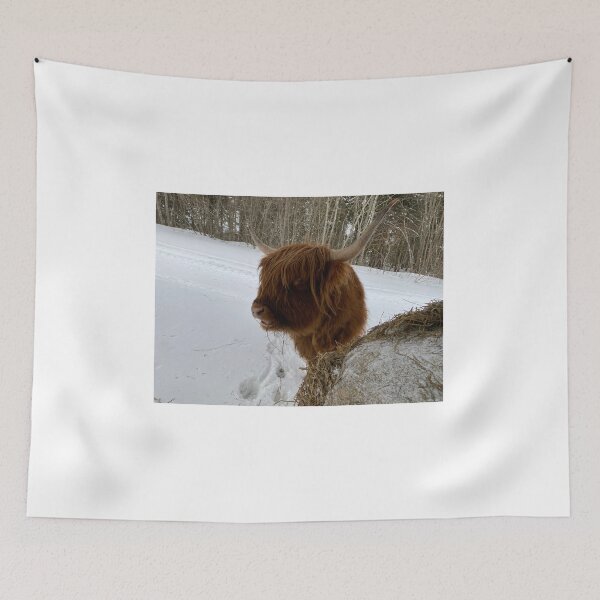 Item preview, Scottish Highland Cattle Cow 4322 designed and sold by SaarelaHighland.