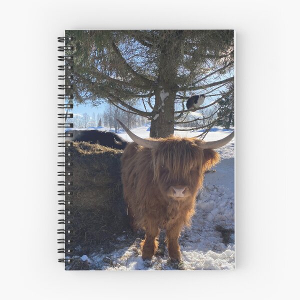 Item preview, Scottish Highland Cattle Cow and cat 4324 designed and sold by SaarelaHighland.