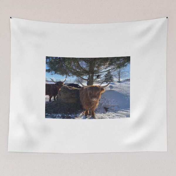 Item preview, Scottish Highland Cattle Cow and cat 4324 designed and sold by SaarelaHighland.