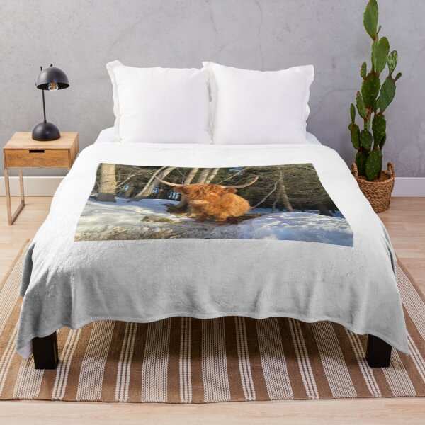 Item preview, Scottish Highland Cattle Cow 4329 designed and sold by SaarelaHighland.