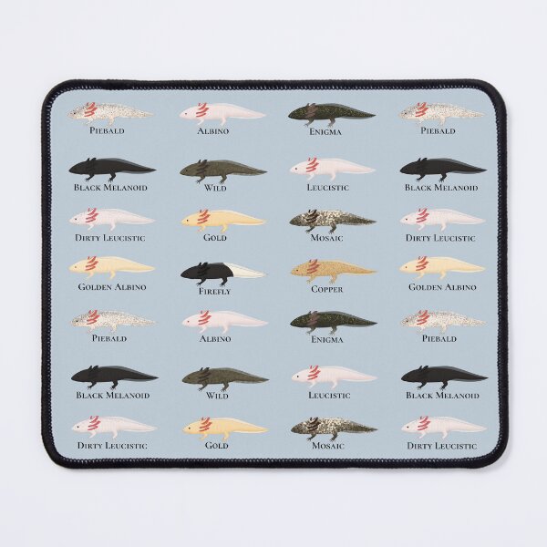 Item preview, Labelled Axolotls Pattern designed and sold by Charloote.