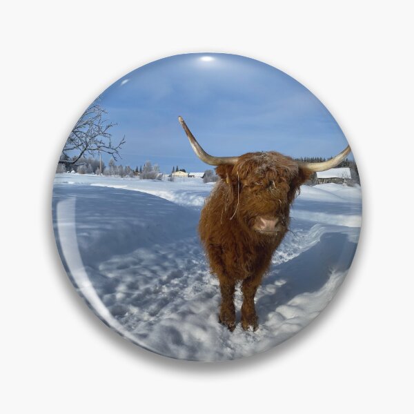 Item preview, Scottish Highland Cattle Cow 4335 designed and sold by SaarelaHighland.