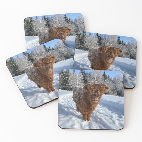Item preview, Scottish Highland Cattle Calf 4337 designed and sold by SaarelaHighland.