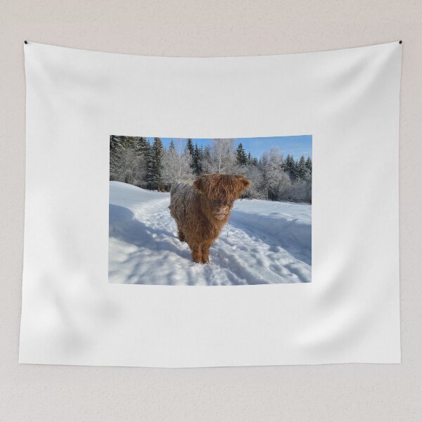 Item preview, Scottish Highland Cattle Calf 4337 designed and sold by SaarelaHighland.