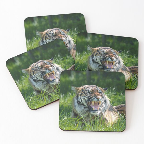 Item preview, Tiger's roar designed and sold by rawshutterbug.