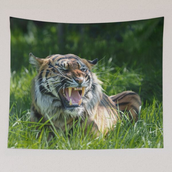 Item preview, Tiger's roar designed and sold by rawshutterbug.