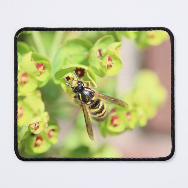 Item preview, Wasp on euphorbia designed and sold by GreyFeatherPhot.