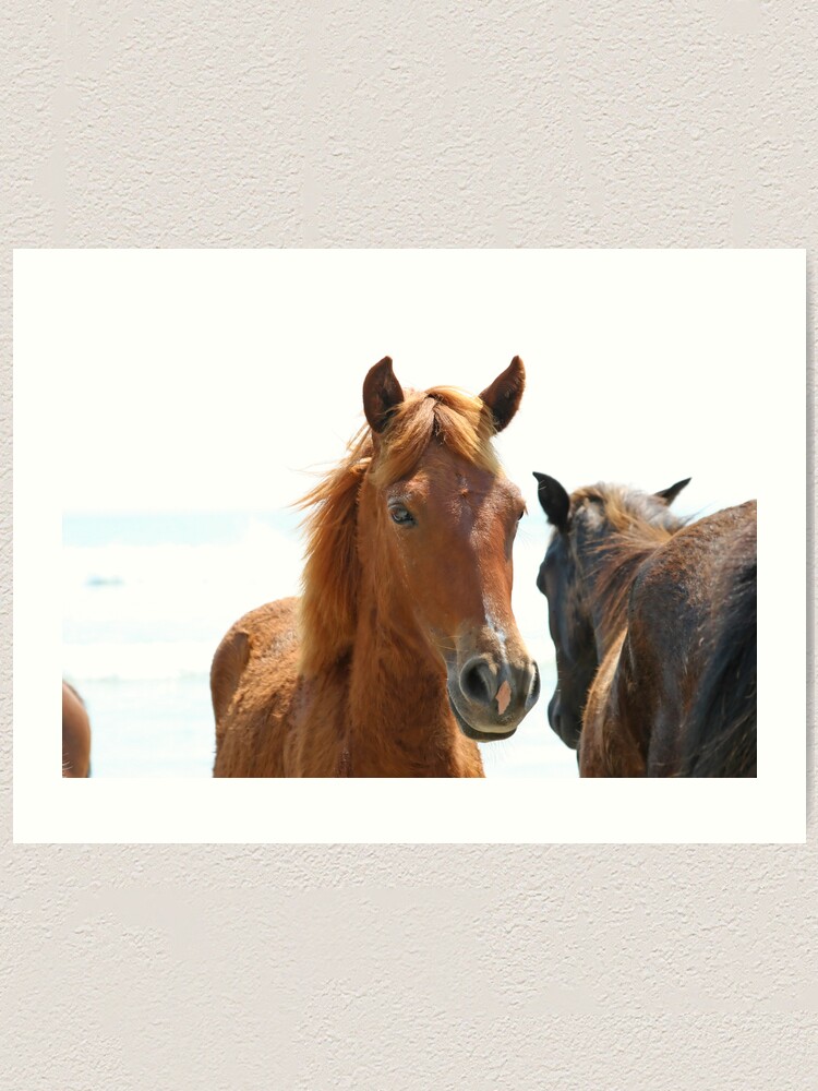 Alternate view of Wild Horses Art Print