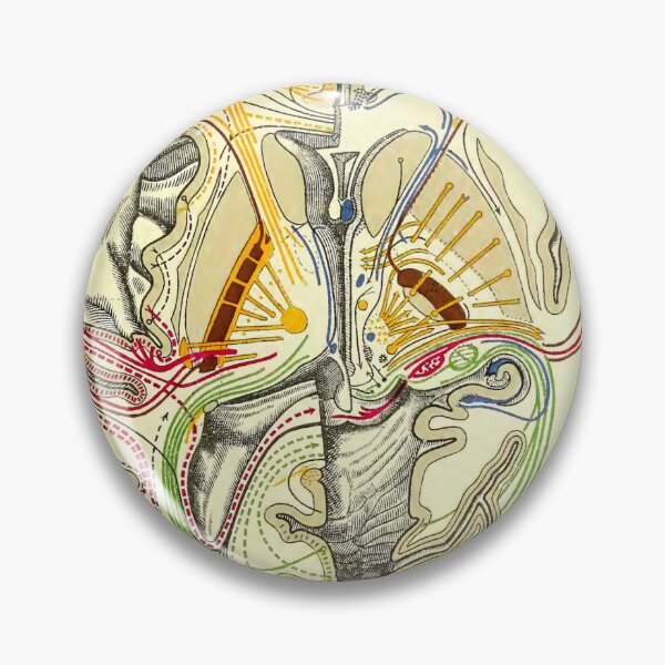 Item preview, Illustrated brain connectivity designed and sold by maximumentropy.