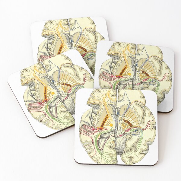 Item preview, Illustrated brain connectivity designed and sold by maximumentropy.