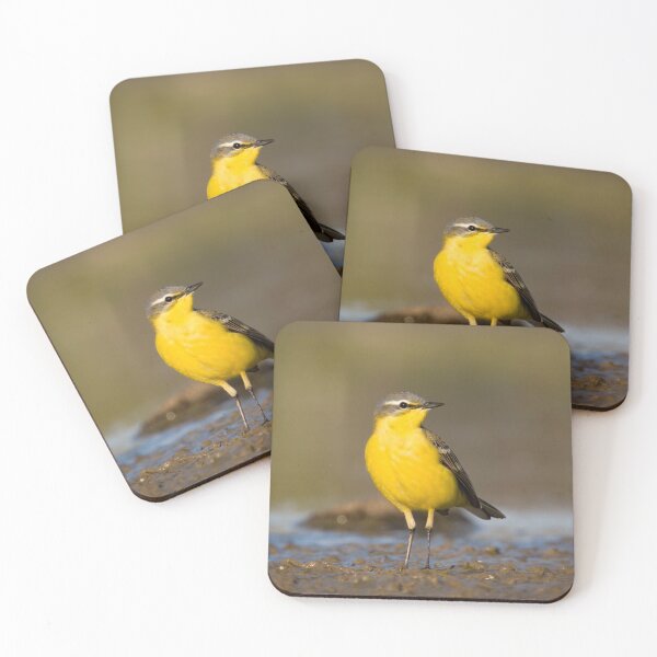 Item preview, Amarillo designed and sold by WildEncounters.