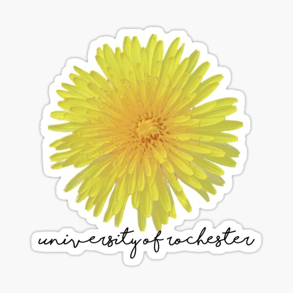 urochester Sticker