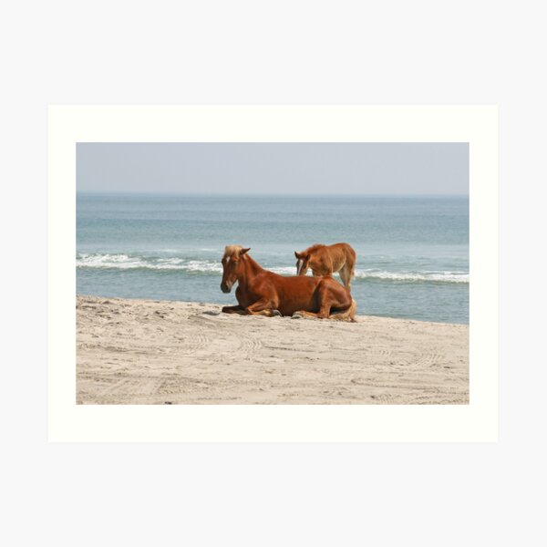 Wild Horses Art Print