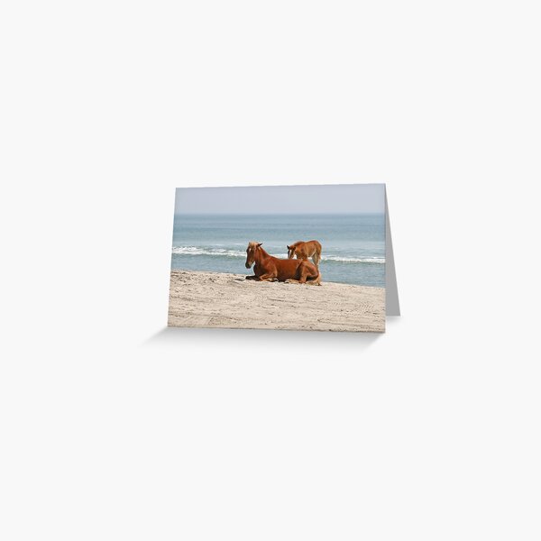 Wild Horses Greeting Card