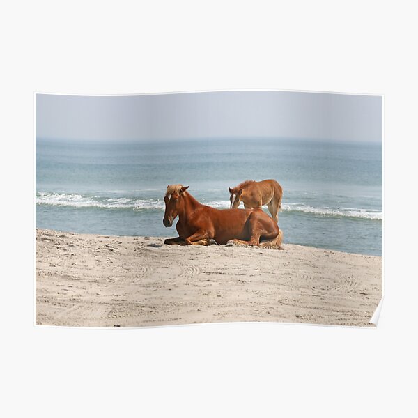 Wild Horses Poster