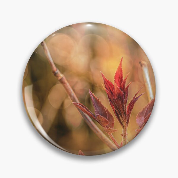 Item preview, Spring 5 designed and sold by Veikko  Suikkanen.