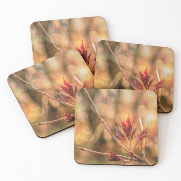 Item preview, Spring 5 designed and sold by Veikko  Suikkanen.