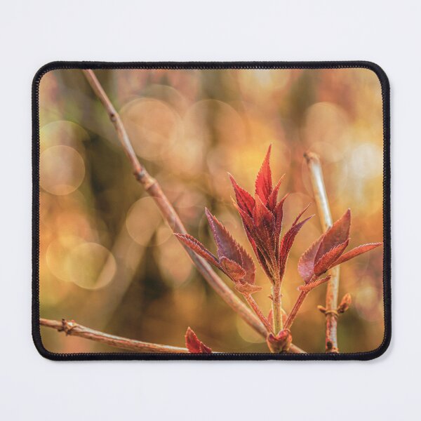 Item preview, Spring 5 designed and sold by Veikko Suikkanen.