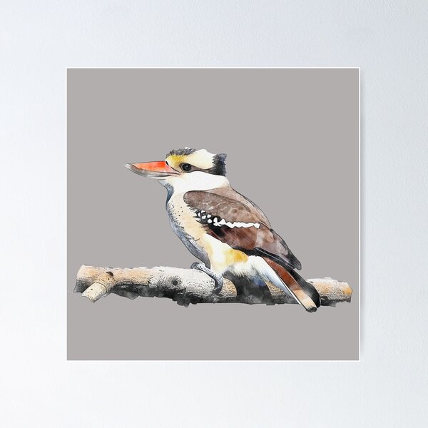 Item preview, Australian Native Birds - Kookaburra designed and sold by Michael van der Hoorn.
