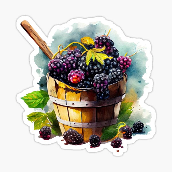Item preview,  Watercolor Blackberry  bucket - Summer Fruit watercolor Art designed and sold by jarziaxi.