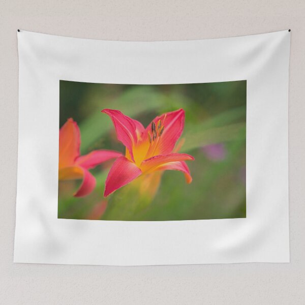 Item preview, Daylilies - hemerocallis designed and sold by Dorset Girl.