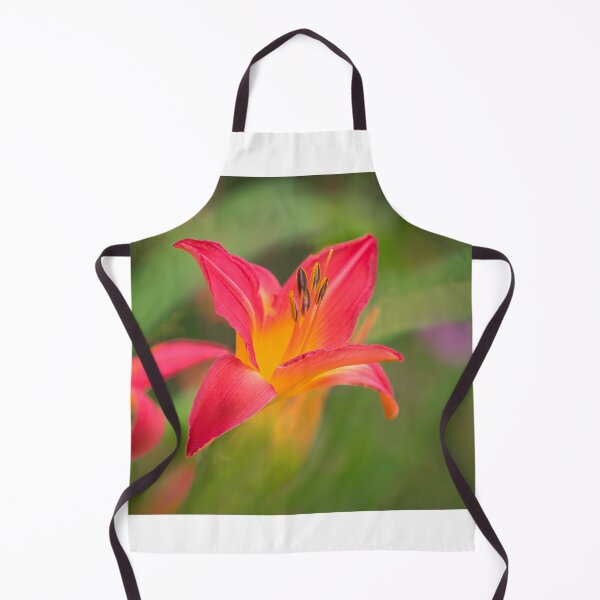 Item preview, Daylilies - hemerocallis designed and sold by Dorset Girl.