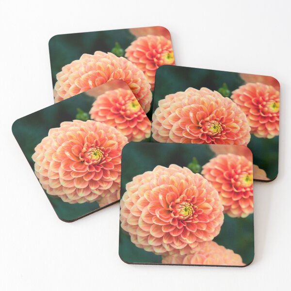 Item preview, Pom-Poms - Chrysanthemums designed and sold by Dorset Girl.