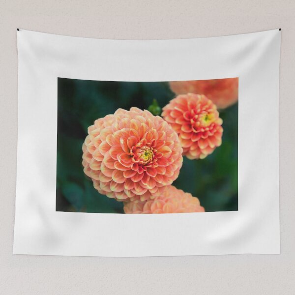 Item preview, Pom-Poms - Chrysanthemums designed and sold by Dorset Girl.
