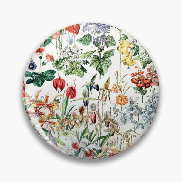 Item preview, Adolphe Millot - Fleurs D - French vintage poster designed and sold by Gardenlibrary.