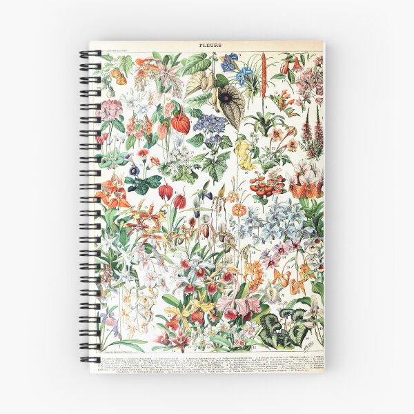 Item preview, Adolphe Millot - Fleurs D - French vintage poster designed and sold by Gardenlibrary.