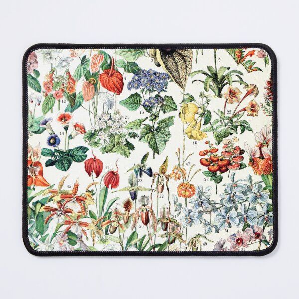 Item preview, Adolphe Millot - Fleurs D - French vintage poster designed and sold by Gardenlibrary.