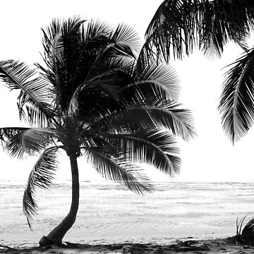 Palm Trees Beach Guadeloupe Black and White Design Sea Ocean Tropics Tree  Tropical BW Monochrome Art Board Print by Univers Noir et Blanc | Redbubble