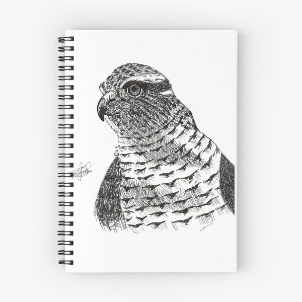 Item preview, Goshawk. Goshawk. designed and sold by BeritValk.