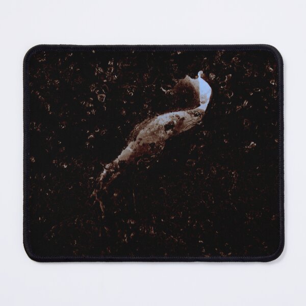 Item preview, Icesnail dark designed and sold by Jouko Lehto Photography.