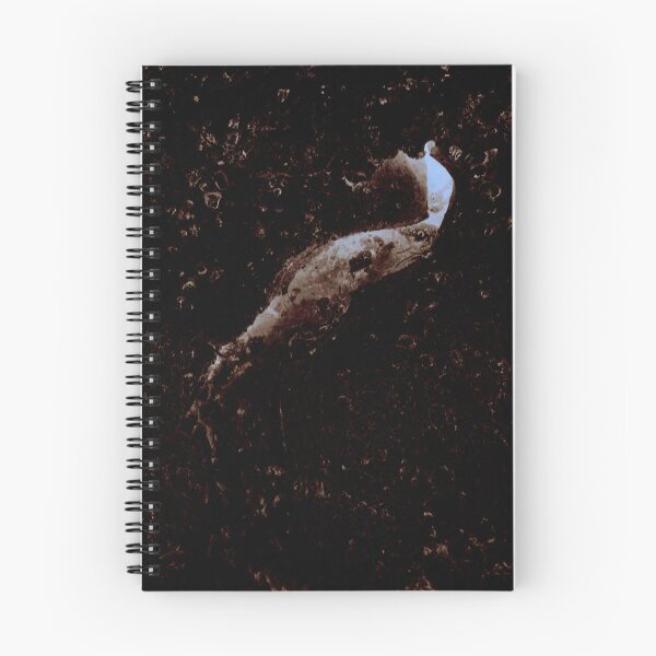 Item preview, Icesnail dark designed and sold by Jouko Lehto Photography.
