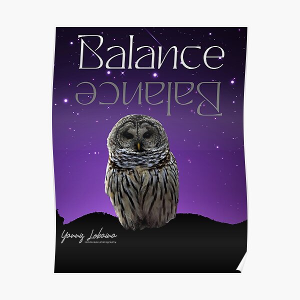 BALANCE BY YANNIS LOBAINA Poster